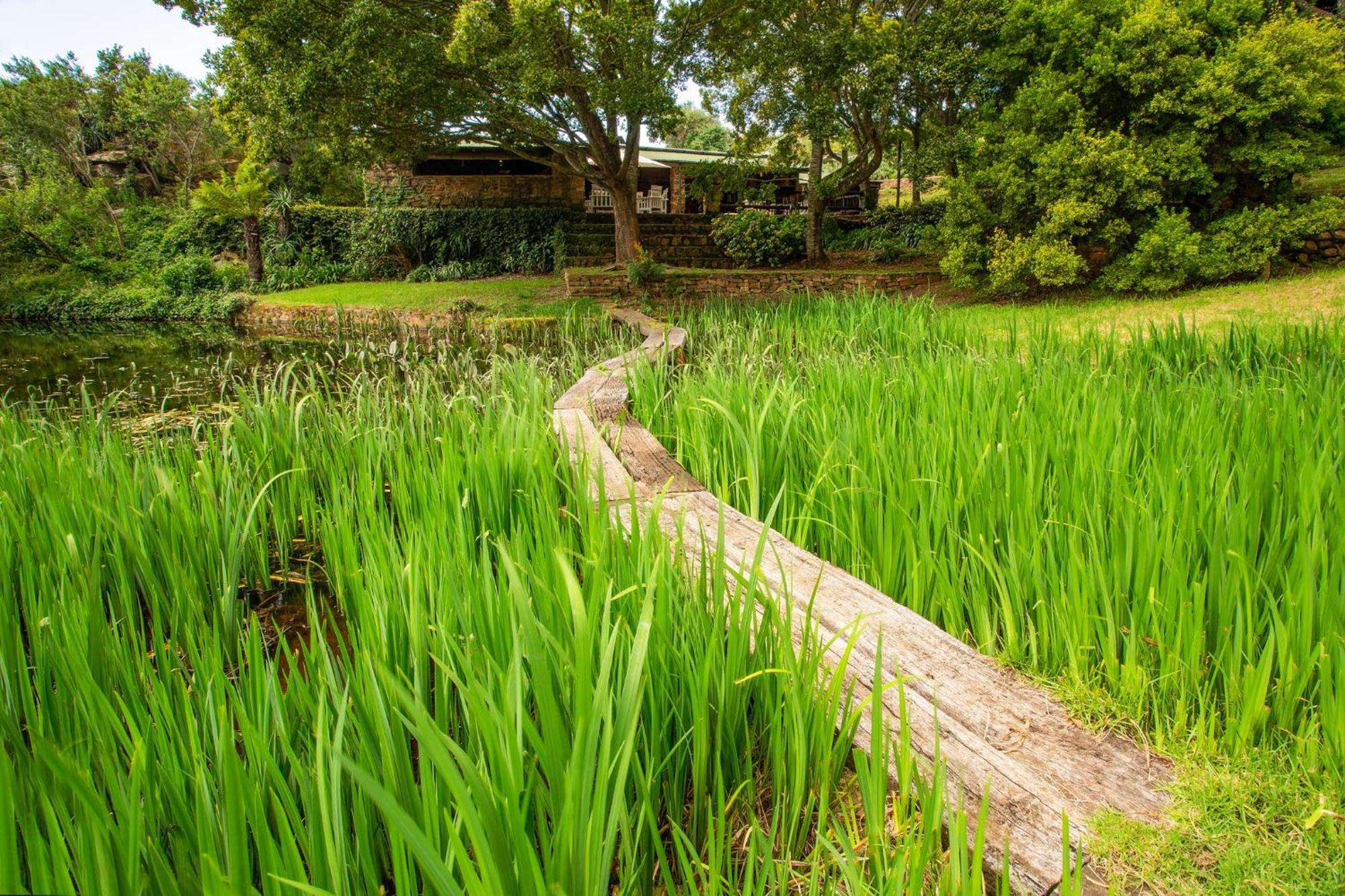 Paardeplaats Nature Retreat Rhenosterhoek المظهر الخارجي الصورة