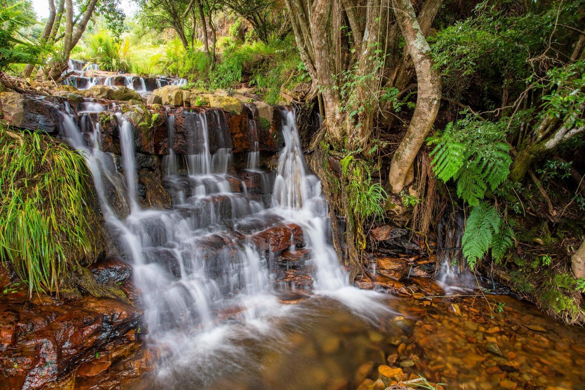 Paardeplaats Nature Retreat Rhenosterhoek المظهر الخارجي الصورة