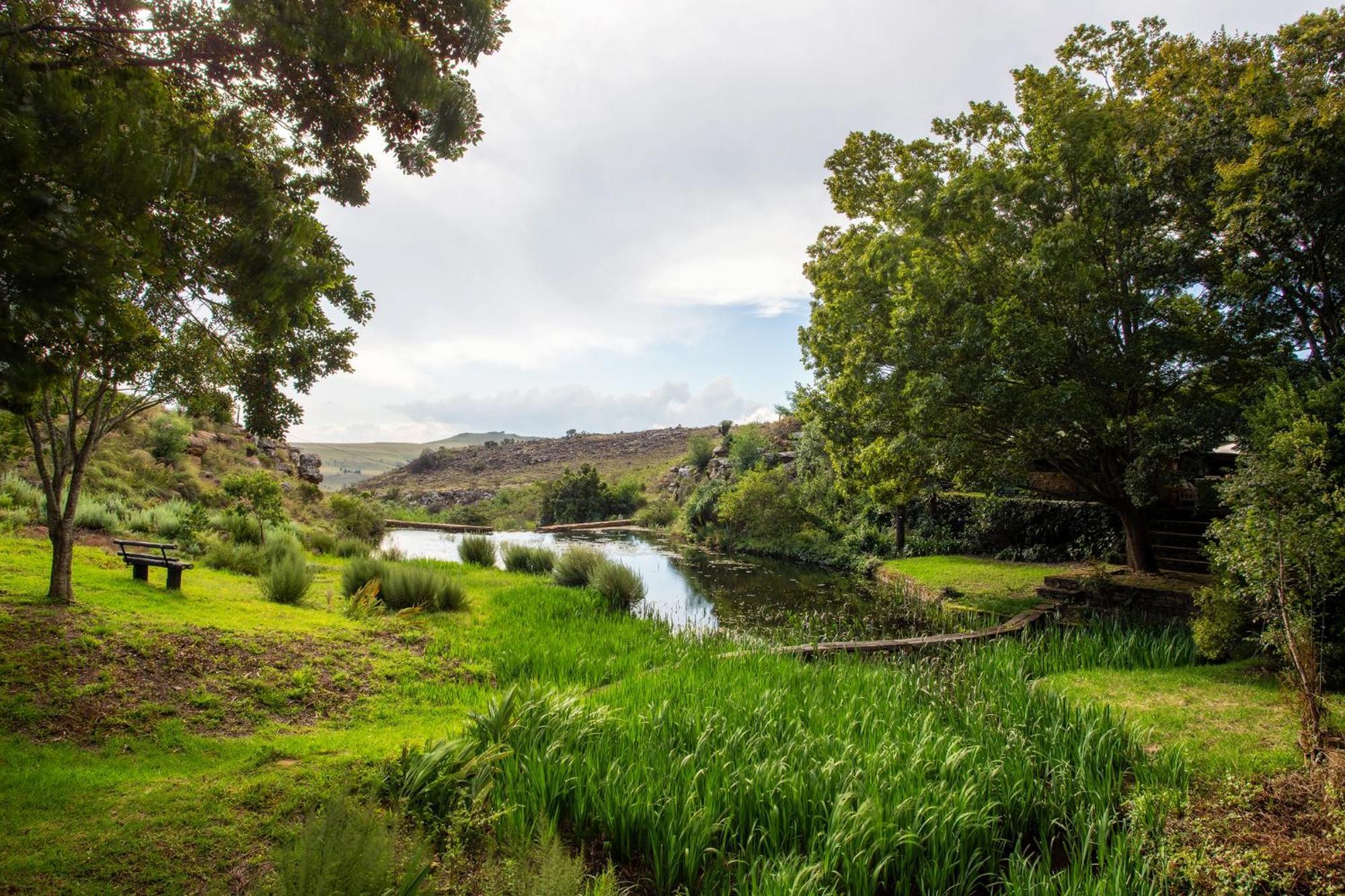 Paardeplaats Nature Retreat Rhenosterhoek المظهر الخارجي الصورة
